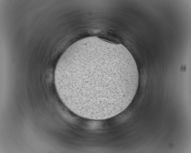 X0000112730085200909171137