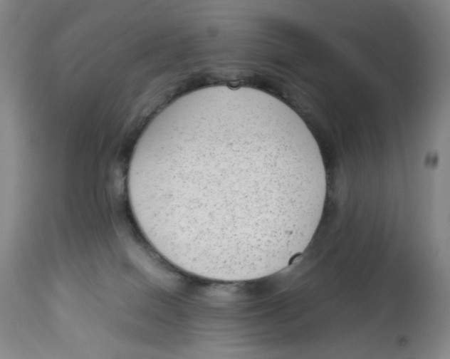 X0000112730086200909171137