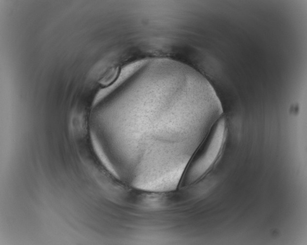 X0000112730088200909171137