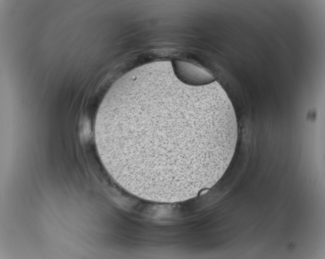 X0000112730089200909171137