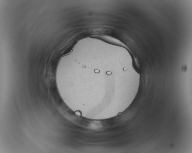 X0000112730091200909171137