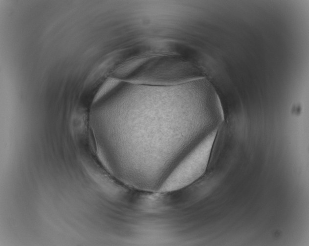 X0000112730092200909171137
