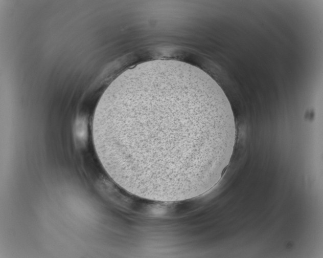 X0000112730094200909171137
