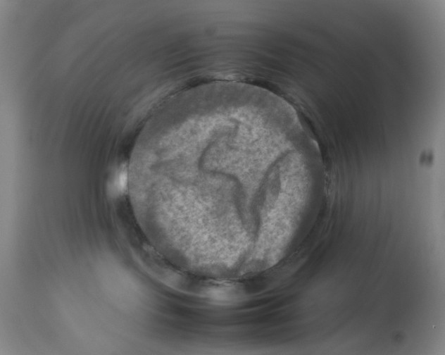 X0000112730095200909171137