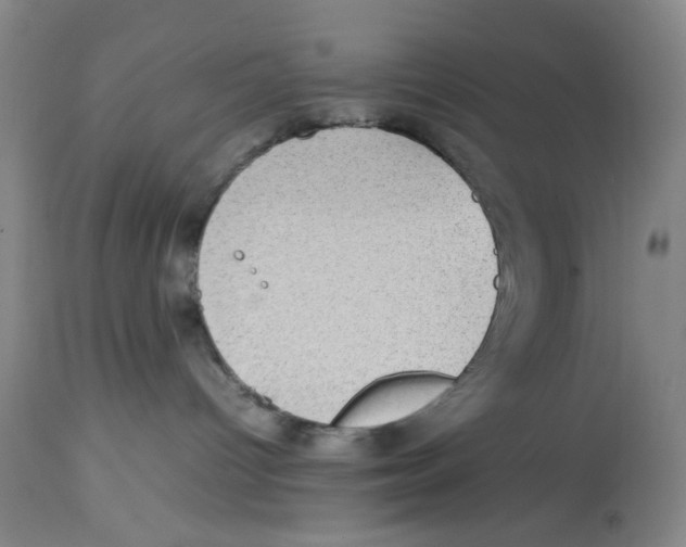 X0000112730096200909171137