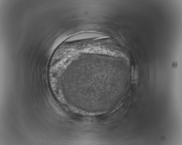 X0000112730099200909171137