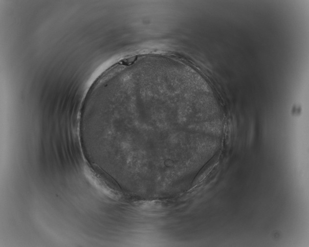 X0000112730100200909171137