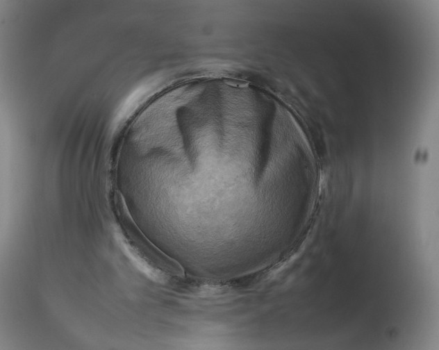 X0000112730101200909171136