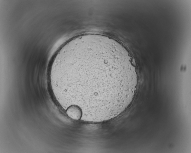 X0000112730102200909171136