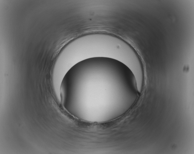 X0000112730105200909171136