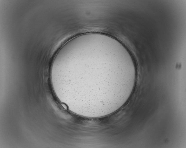 X0000112730107200909171136