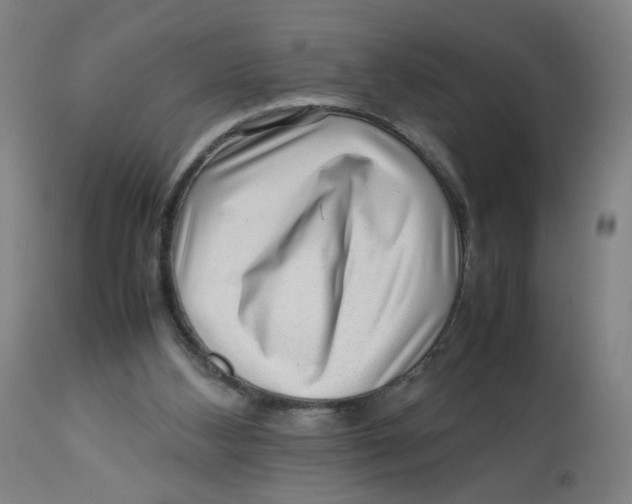 X0000112730108200909171136