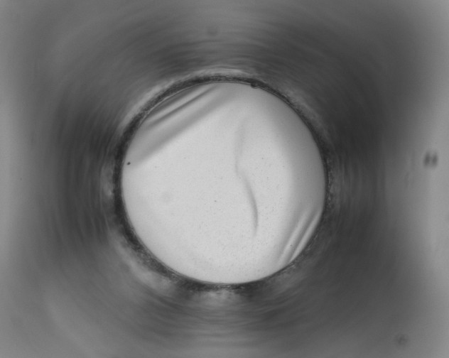 X0000112730112200909171136