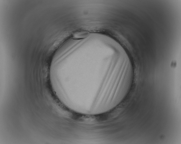 X0000112730113200909171136