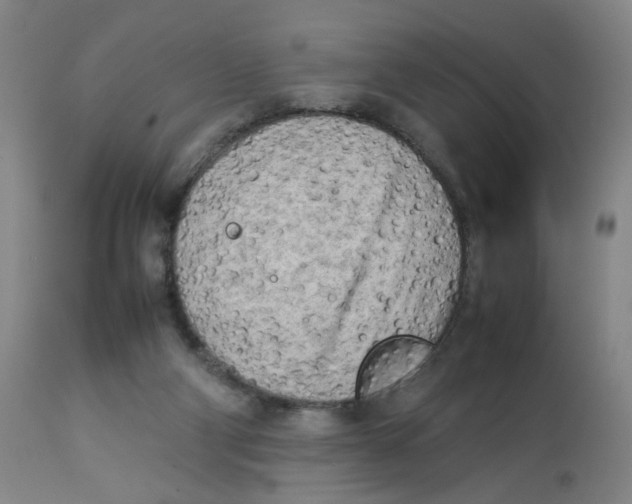 X0000112730114200909171136