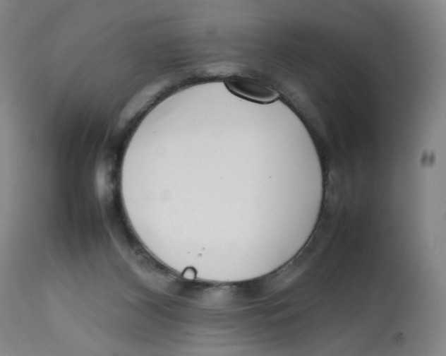 X0000112730116200909171136