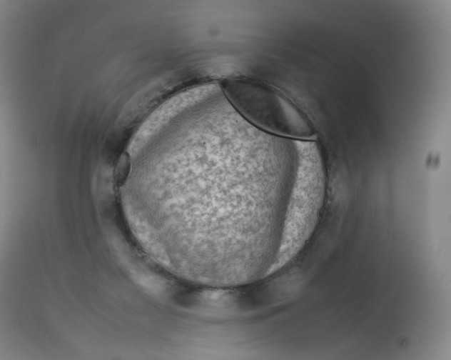 X0000112730117200909171136