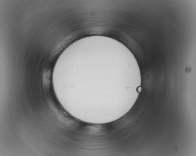X0000112730118200909171136