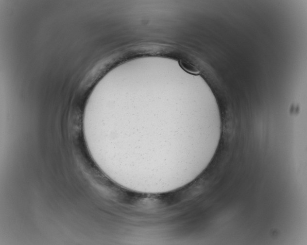 X0000112730119200909171136