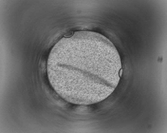X0000112730123200909171136