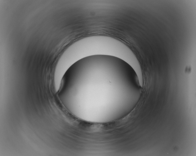 X0000112730124200909171136