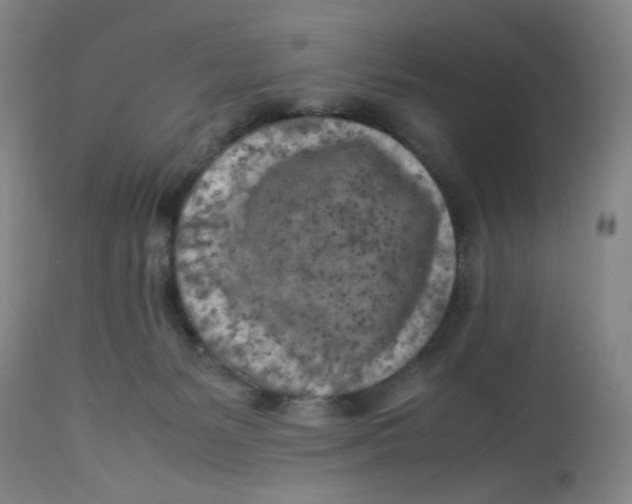 X0000112730127200909171136