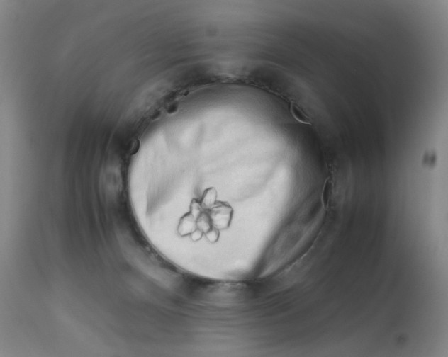 X0000112730128200909171136