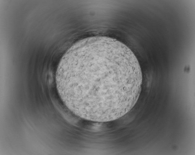 X0000112730130200909171136