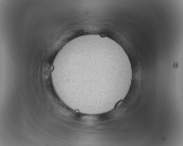 X0000112730133200909171136