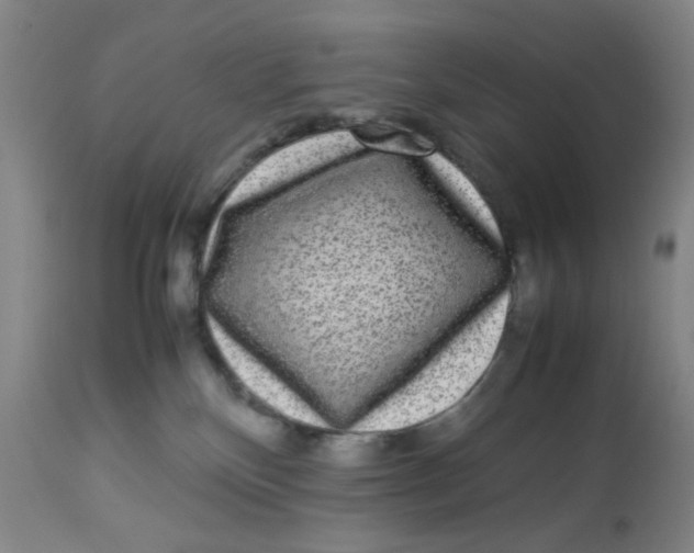 X0000112730136200909171136