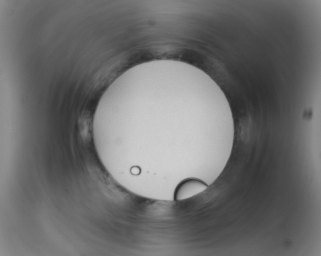 X0000112730138200909171136