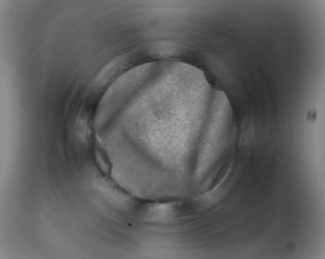 X0000112730140200909171136