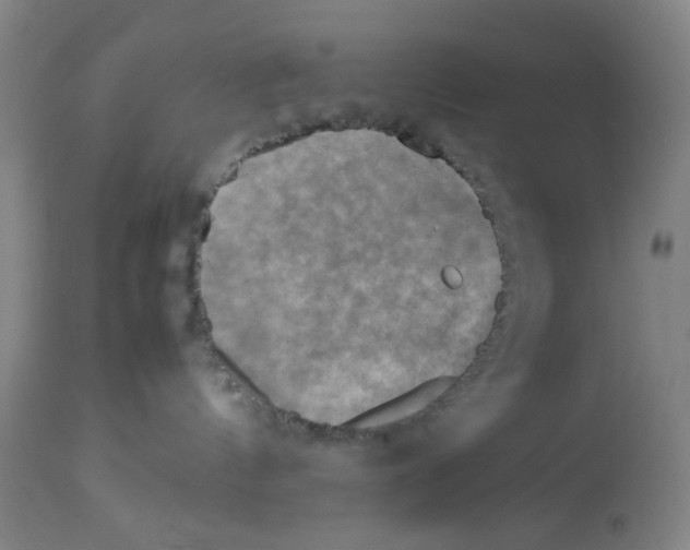 X0000112730144200909171136