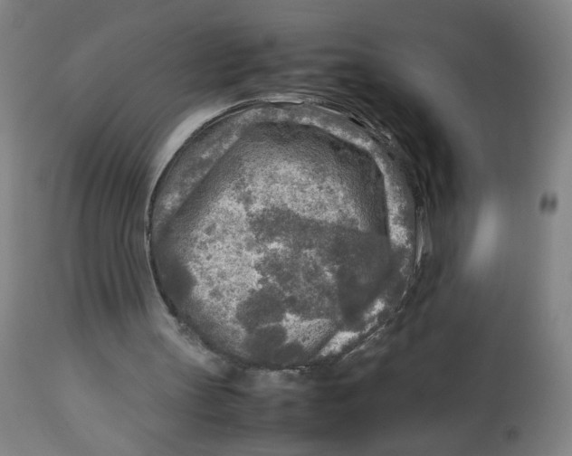 X0000112730147200909171135