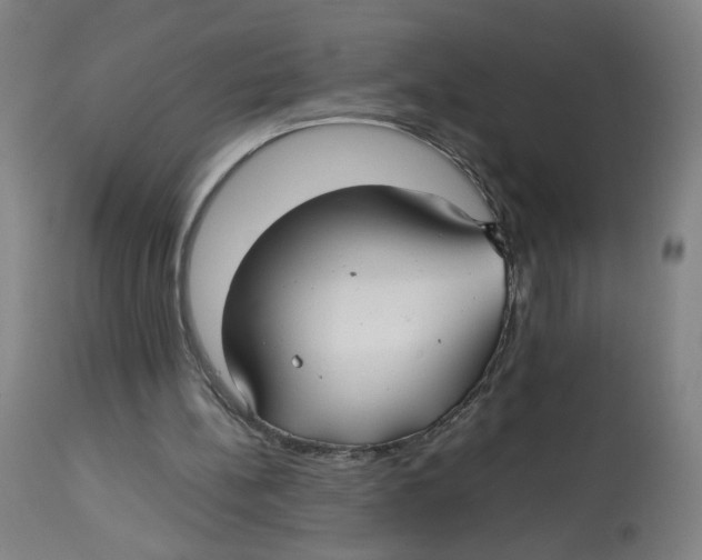 X0000112730148200909171135