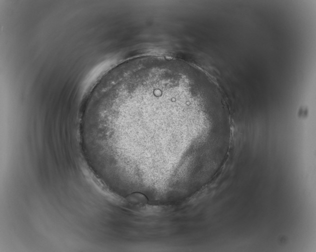 X0000112730149200909171135