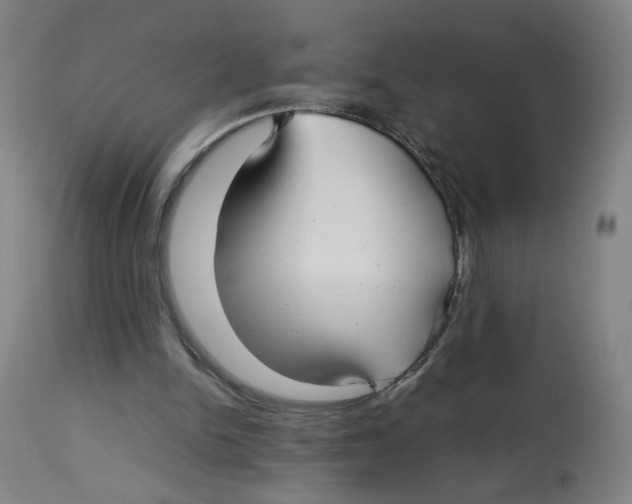 X0000112730150200909171135