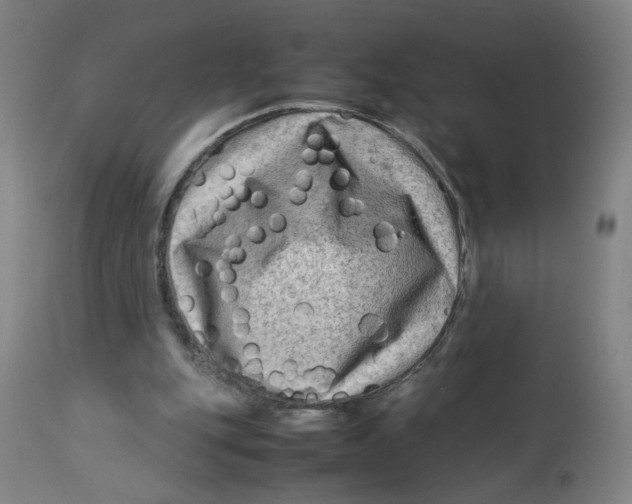 X0000112730151200909171135