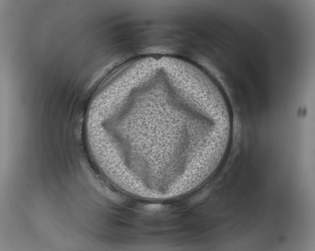 X0000112730153200909171135