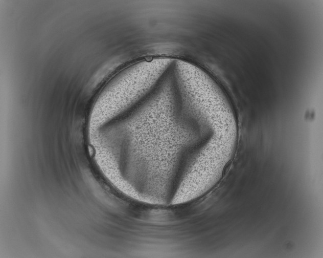 X0000112730154200909171135