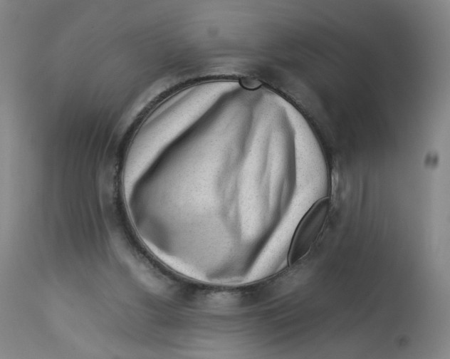 X0000112730156200909171135