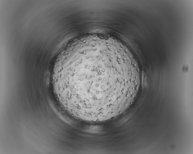 X0000112730157200909171135