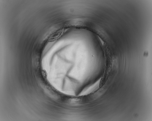 X0000112730158200909171135