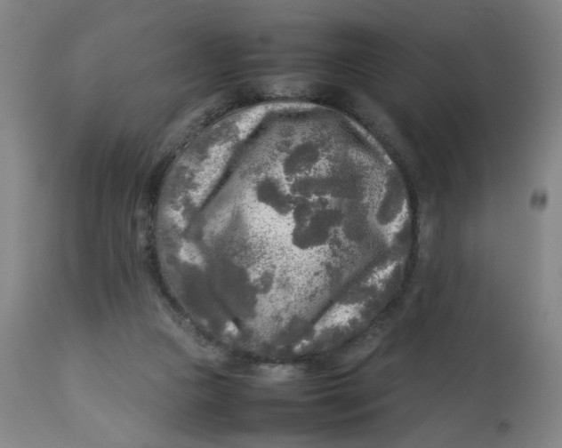 X0000112730161200909171135