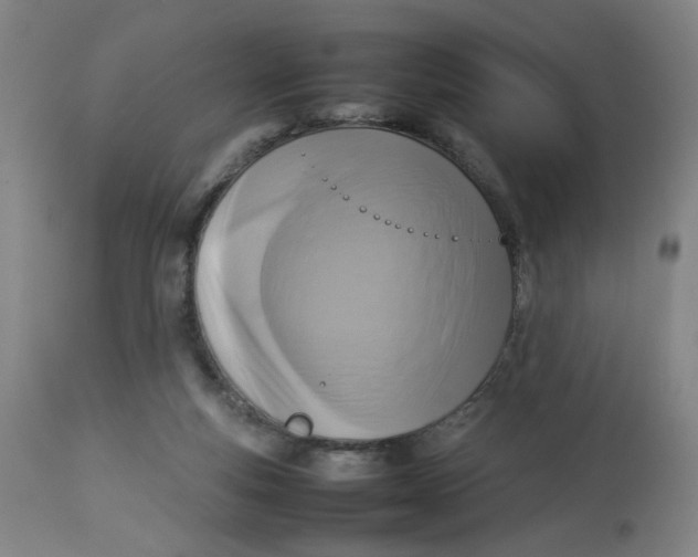 X0000112730163200909171135