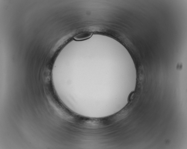 X0000112730164200909171135