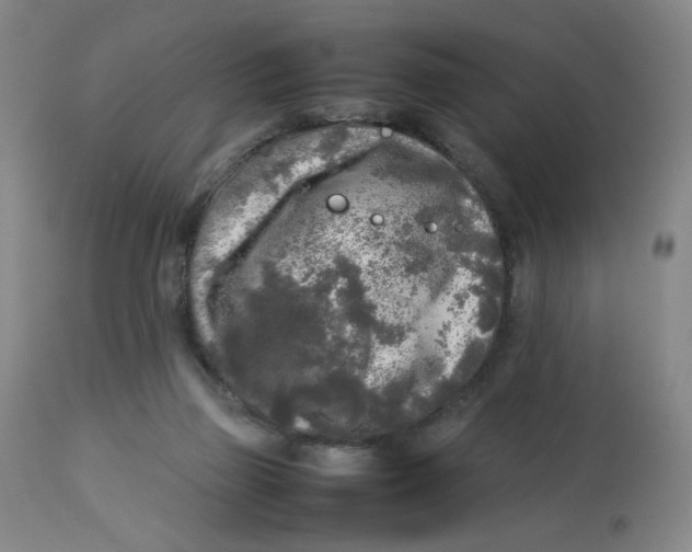 X0000112730165200909171135