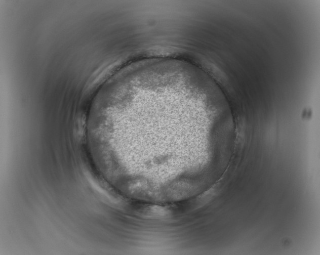 X0000112730166200909171135