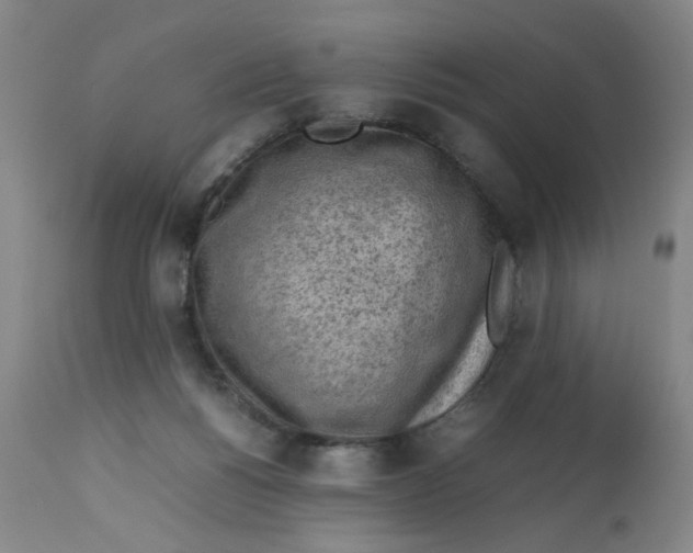 X0000112730168200909171135