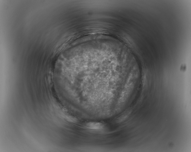 X0000112730169200909171135